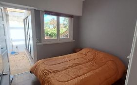 Lavandas de Mar2